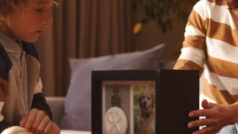 Honoring Your Dog's Legacy