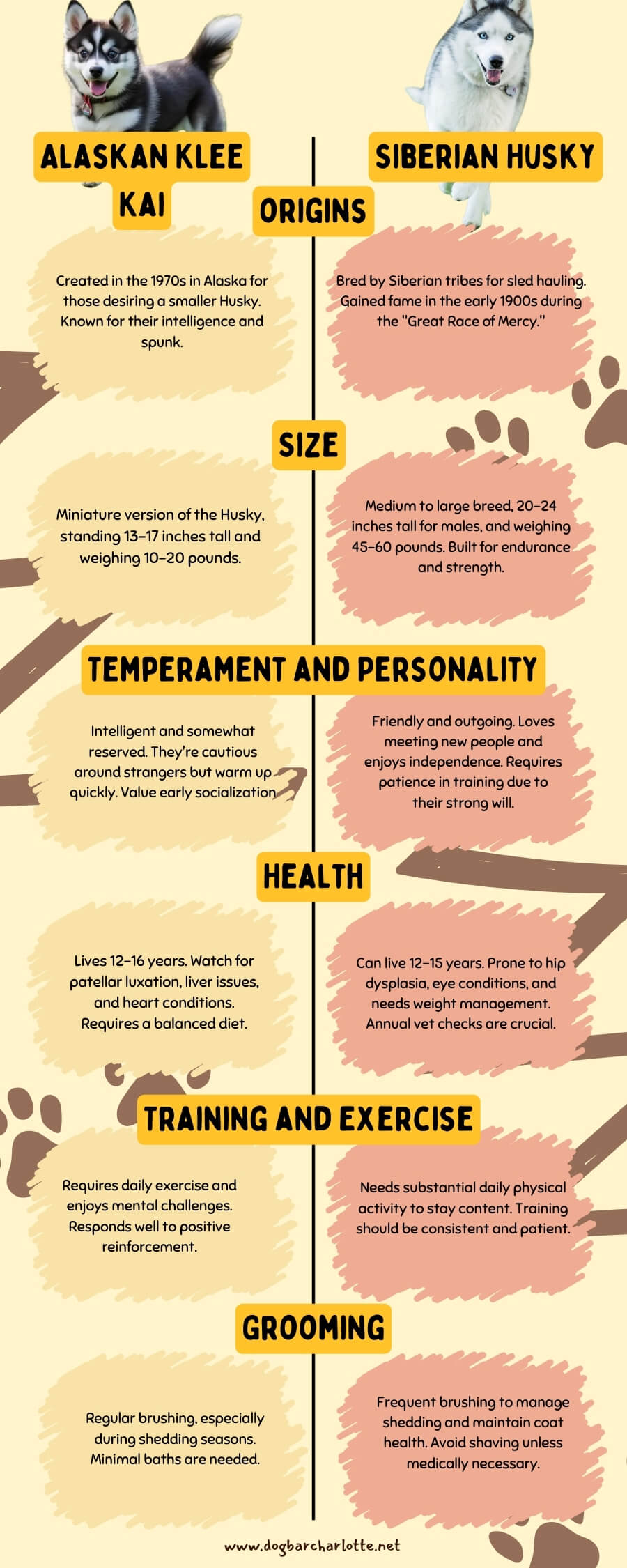 Comparison Infographic - Siberian vs Alaskan Klee Husky