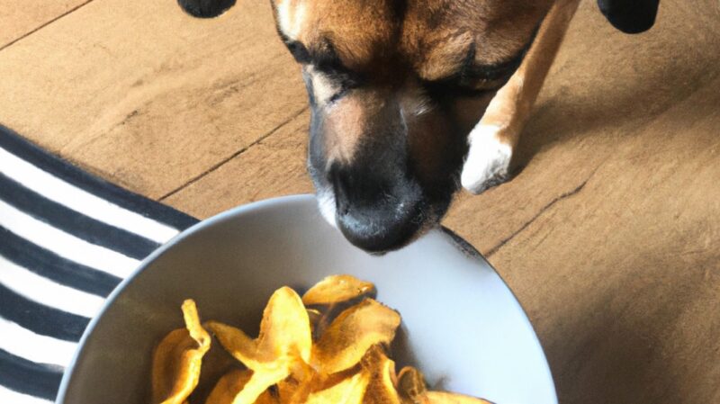 Dogs consuming salt and vinegar chips