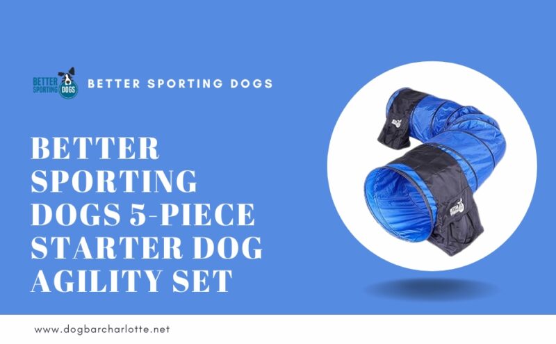 Better Sporting Dogs 5-Piece Starter Dog Agility Set