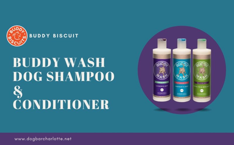 Buddy Wash Dog Shampoo & Conditioner