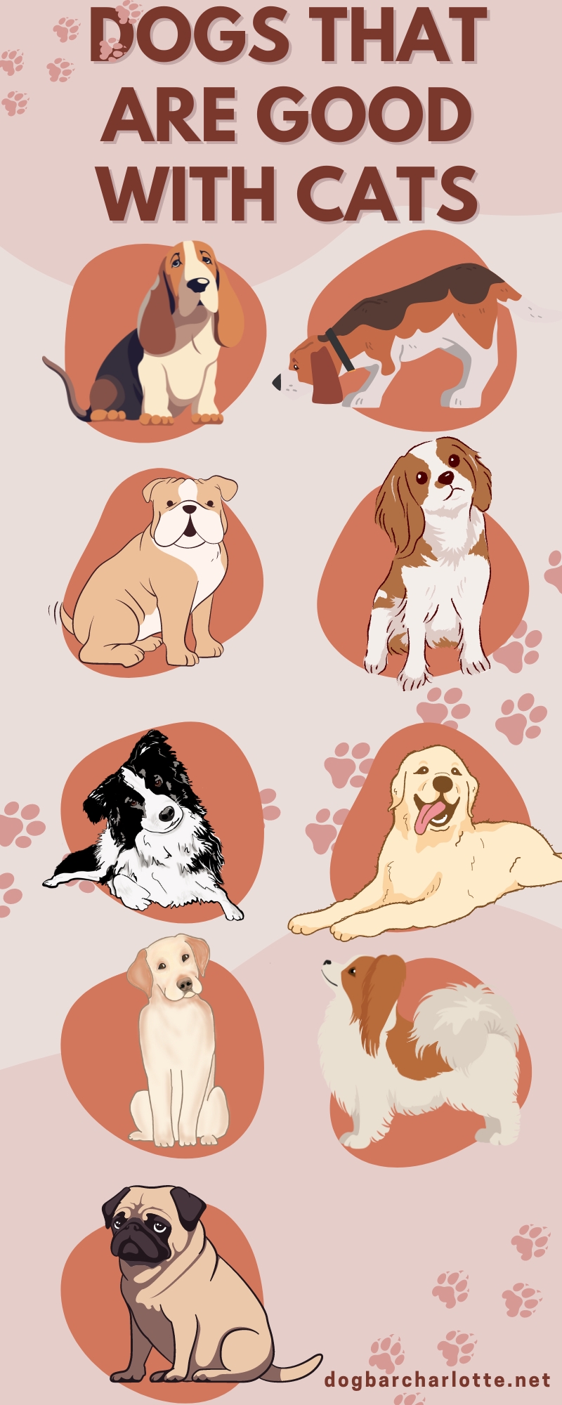 Infographic with Dog Breeds That Are Good with Cats