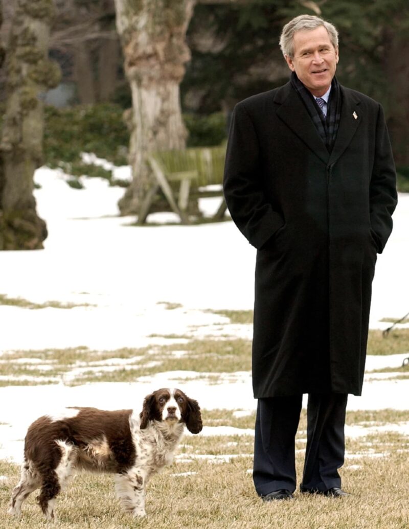 George H.W. Bush with English Springer Spaniel