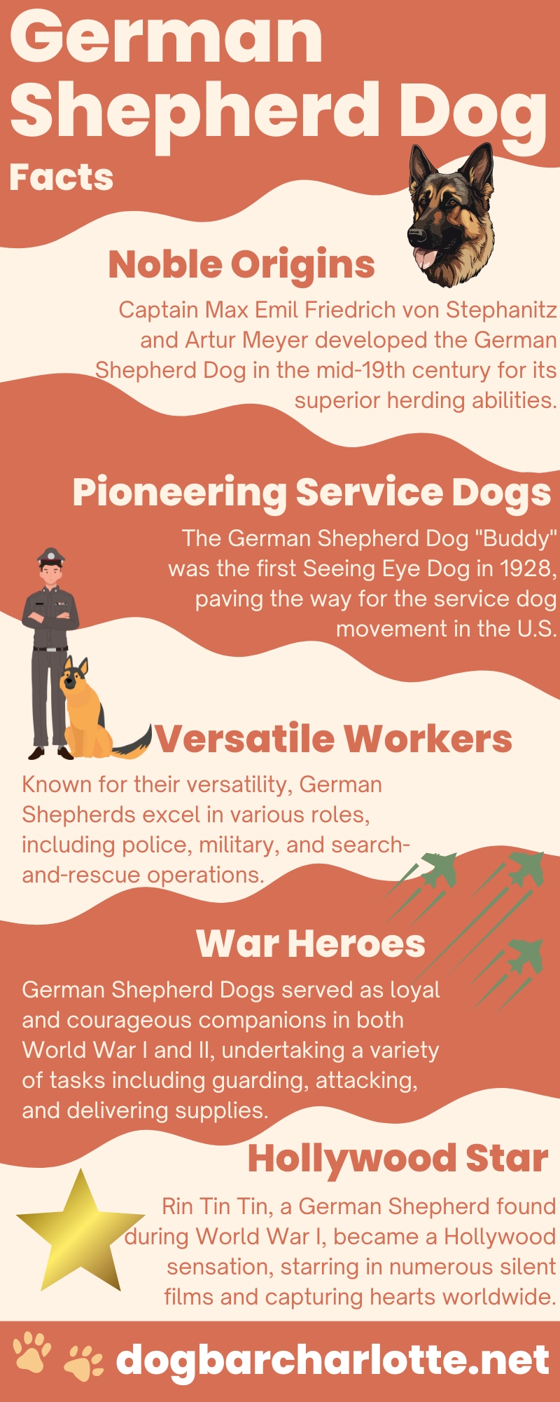 German Shepherd Dog Facts Infographic