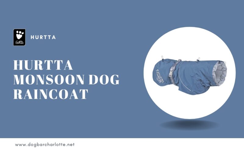 Hurtta Monsoon Dog Raincoat