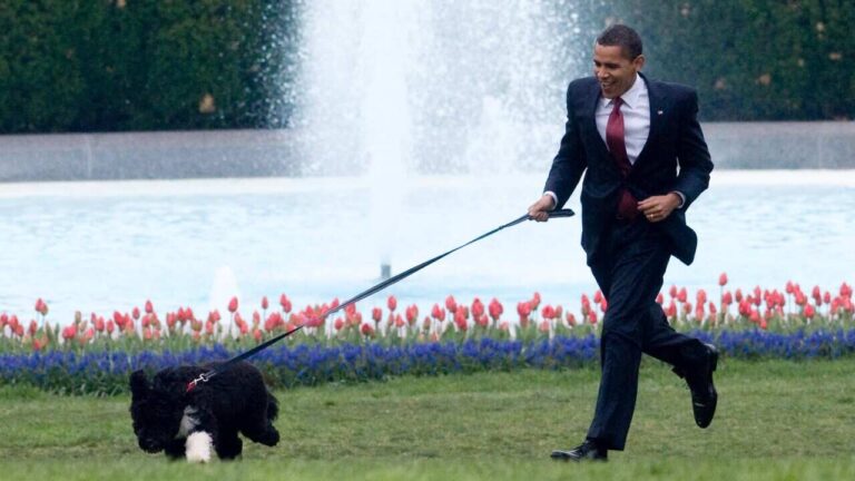 Popular Presidents and Their Dogs