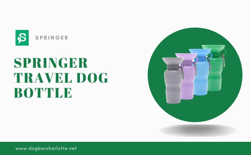 Springer Travel Dog Bottle