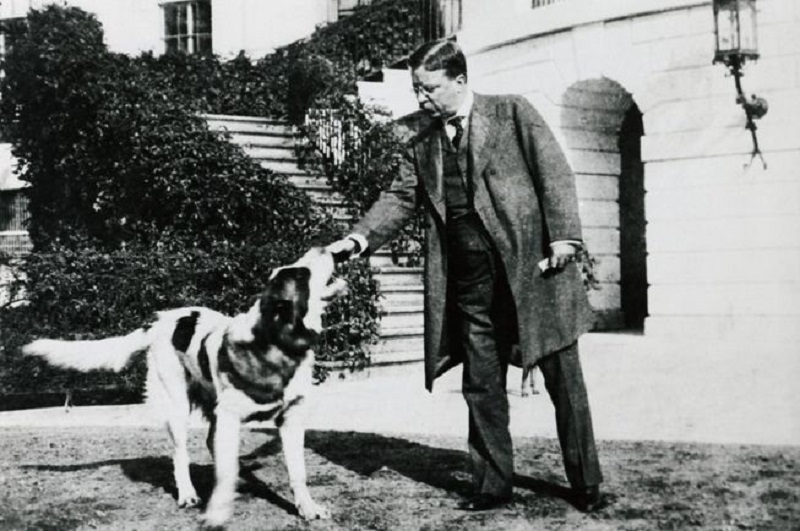 Theodore Roosevelt with his Saint Bernard named Rollo